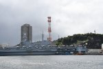 Dcim17963/DSC_9232