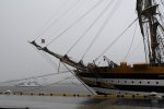 Dcim17972/DSC_0272