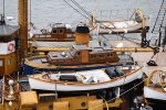 Dcim17972/DSC_0351