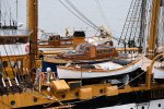 Dcim17973/DSC_0411