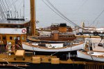 Dcim17973/DSC_0421