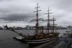 Dcim17974/DSC_0539