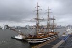 Dcim17974/DSC_0540