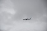 Dcim17974/DSC_0549