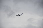 Dcim17974/DSC_0550