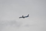 Dcim17974/DSC_0555