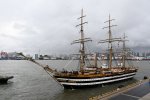 Dcim17974/DSC_0559