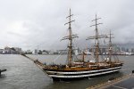 Dcim17974/DSC_0560