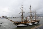 Dcim17974/DSC_0561