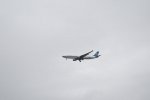 Dcim17975/DSC_0730