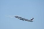 Dcim17977/DSC_0894
