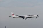 Dcim17977/DSC_0913