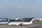 Dcim17977/DSC_0967