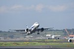 Dcim17978/DSC_1003