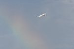 Dcim17979/DSC_1087