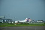 Dcim17981/DSC_1236
