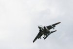 Dcim17983/DSC_1478