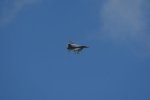 Dcim17983/DSC_1501