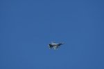Dcim17983/DSC_1503