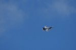 Dcim17983/DSC_1504