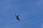 Dcim17983/DSC_1509