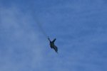 Dcim17983/DSC_1510