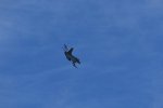 Dcim17983/DSC_1511