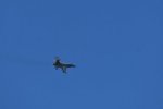 Dcim17983/DSC_1514