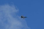 Dcim17983/DSC_1517