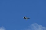 Dcim17983/DSC_1518