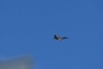 Dcim17983/DSC_1519
