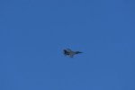 Dcim17983/DSC_1521