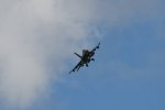 Dcim17983/DSC_1528