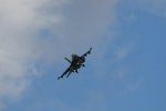 Dcim17983/DSC_1529