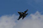 Dcim17983/DSC_1533