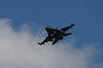 Dcim17983/DSC_1547