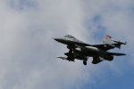 Dcim17983/DSC_1550