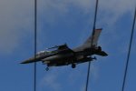 Dcim17983/DSC_1556
