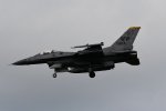 Dcim17983/DSC_1567