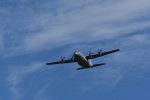 Dcim17983/DSC_1574