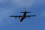 Dcim17984/DSC_1585