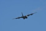 Dcim17984/DSC_1596