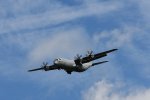 Dcim17984/DSC_1608