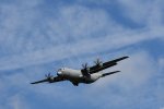 Dcim17984/DSC_1609