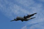 Dcim17984/DSC_1611