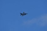 Dcim17984/DSC_1651