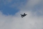 Dcim17984/DSC_1656