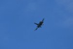 Dcim17984/DSC_1661