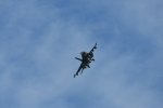 Dcim17984/DSC_1663