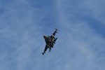 Dcim17984/DSC_1665